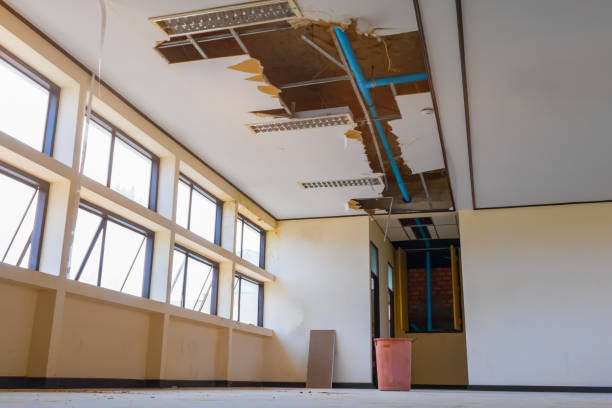 Best Mold removal after water damage  in Pacifi, CA