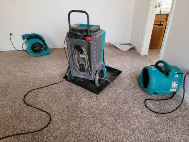 Best Water damage restoration near me  in Pacifi, CA