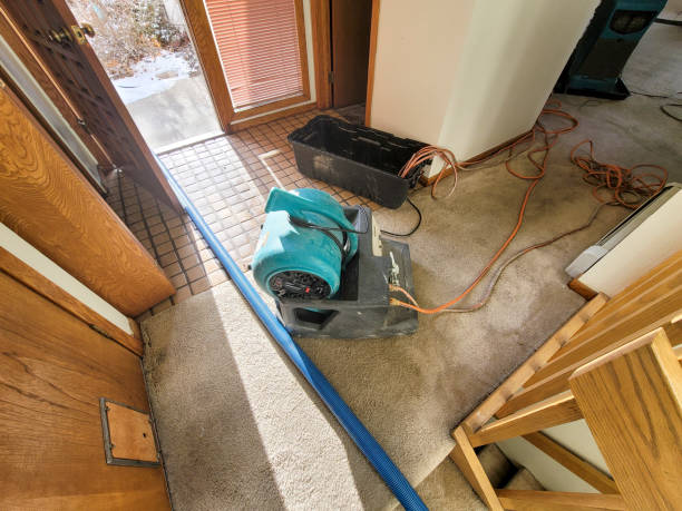 Best Water damage restoration insurance claims  in Pacifi, CA