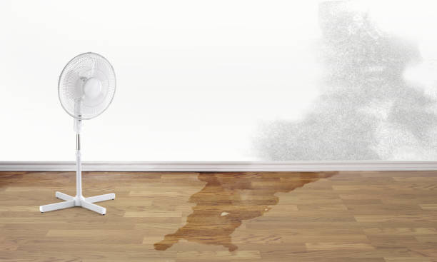 Best Flood damage cleanup  in Pacifi, CA