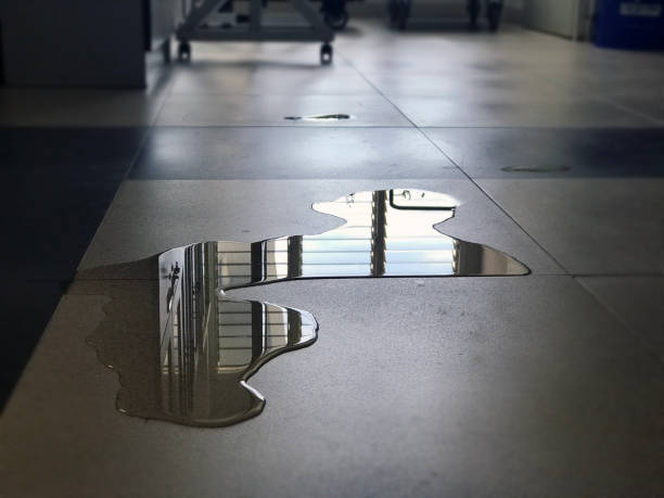 Best 24/7 water damage repair  in Pacifi, CA