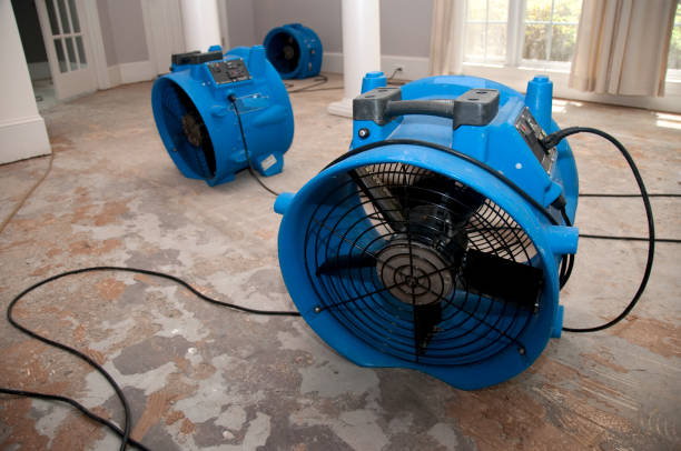 Best Sewage cleanup and water damage restoration  in Pacifi, CA