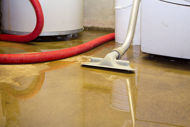 Best Water damage contractors near me  in Pacifi, CA