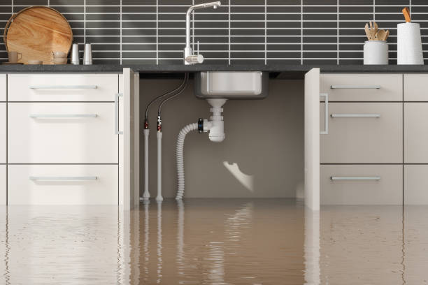 Best 24-hour water damage restoration  in Pacifi, CA