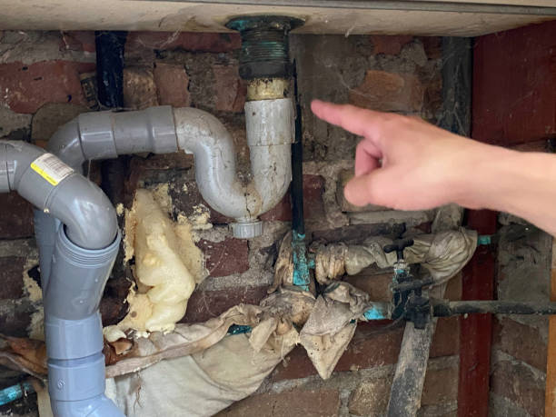 Best Water damage cleanup near me  in Pacifi, CA