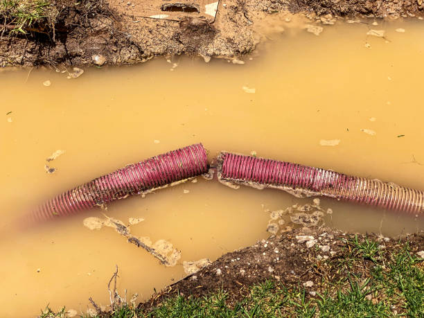 Best Water damage restoration near me  in Pacifi, CA