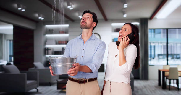 Best Flooded house restoration  in Pacifi, CA